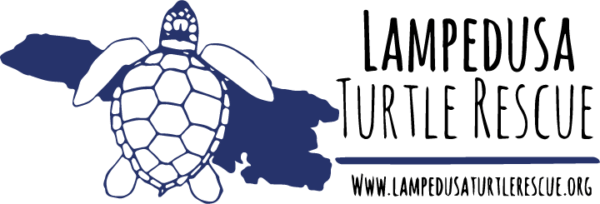 Logo of Lampedusa Turtle Rescue, fighting for the protection of turtles