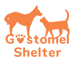 Logo Gostomel Shelter